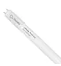 Ledvance Tube LED T8 Value (UN) High Output 8W 900lm - 840 Blanc Froid | 60cm - Équivalent 18W
