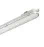 Philips Réglette LED Étanche CoreLine WT120C G2 42.9W 6000lm - 840 Blanc Froid | 150cm 