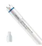 Philips Tube LED T8 MASTER (EM/Direct 230V) High Output 8W 1000lm - 830 Blanc Chaud | 60cm - Équivalent 18W